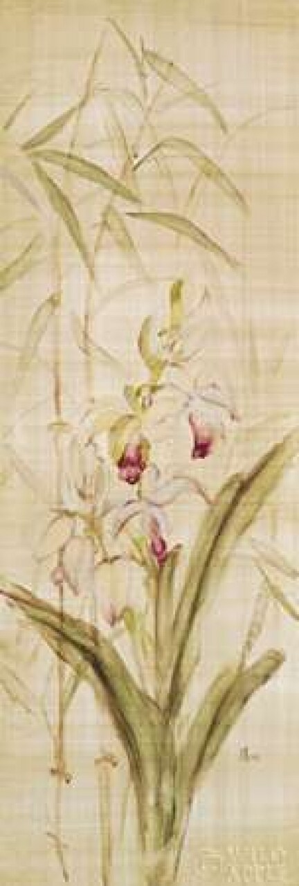 p 5025 80B 7 Orchids II Poster Print by Cheri Blum - Item # VARPDX743817